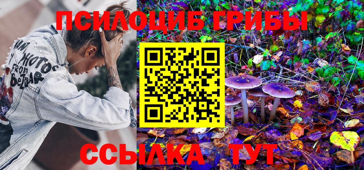 Галлюциногенные грибы мицелий  Псилоцибиновые грибы мицелий  Вход с VPN  цена наркотик  Великий Устюг 