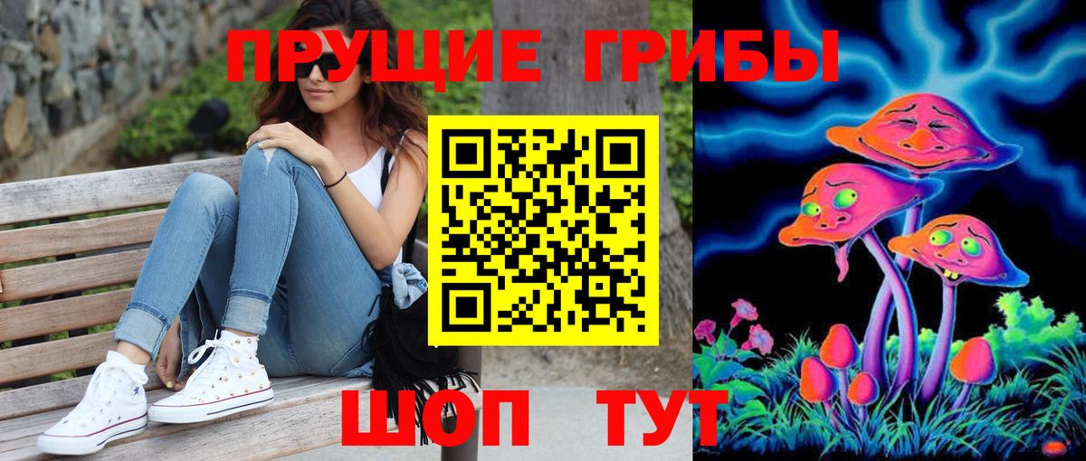 Галлюциногенные грибы прущие грибы Великий Устюг